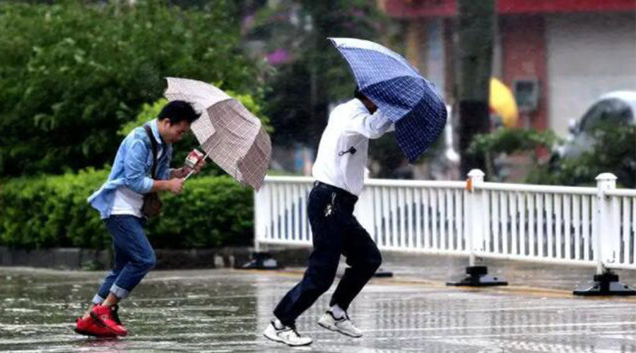 9號臺風“馬鞍”生成！金環(huán)電器提醒大家要注意的事項