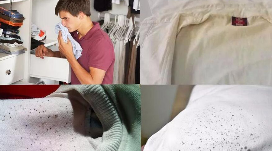 衣服護(hù)理小常識：潮濕天衣物有霉味不宜穿  該怎么辦？