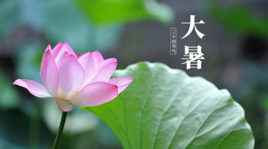 大暑時節(jié)！金環(huán)電器提醒大家注意這些干衣細節(jié)