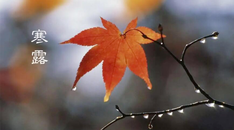 寒露時節(jié)！金環(huán)電器提醒大家要注意的事項