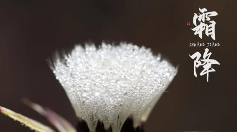 霜降時(shí)節(jié)！金環(huán)電器提醒大家要注意的事項(xiàng)