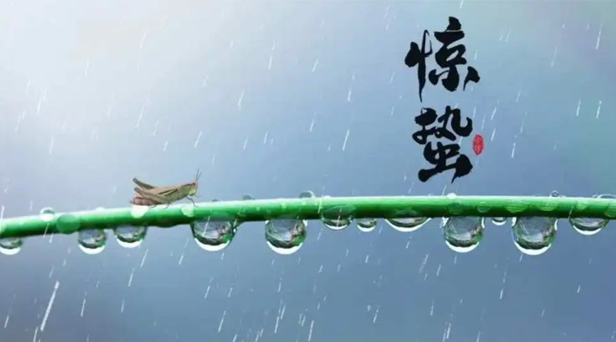 驚蟄時節(jié)！金環(huán)電器提醒大家干衣要注意這些