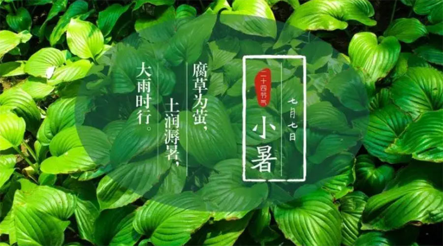 小暑時(shí)節(jié)來到！金環(huán)電器提醒大家要注意的事項(xiàng)