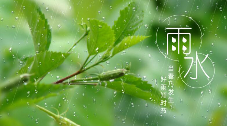 雨水時(shí)節(jié)！金環(huán)電器提醒大家要注意的事項(xiàng)
