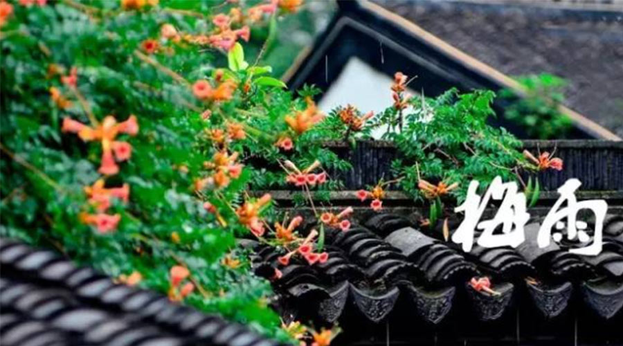 什么是梅雨？梅雨如何形成？  金環(huán)電器告訴你答案